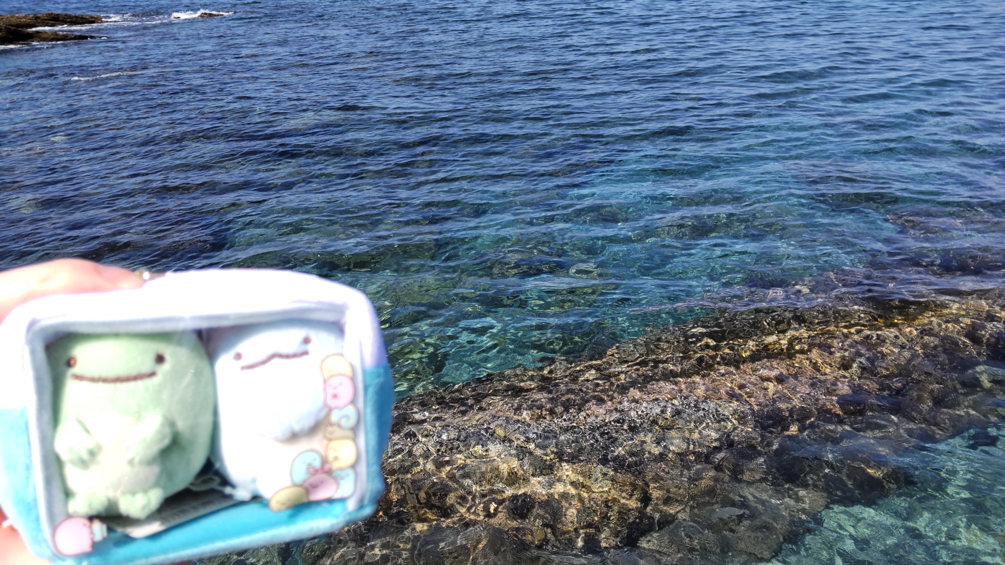 沖ノ島の海