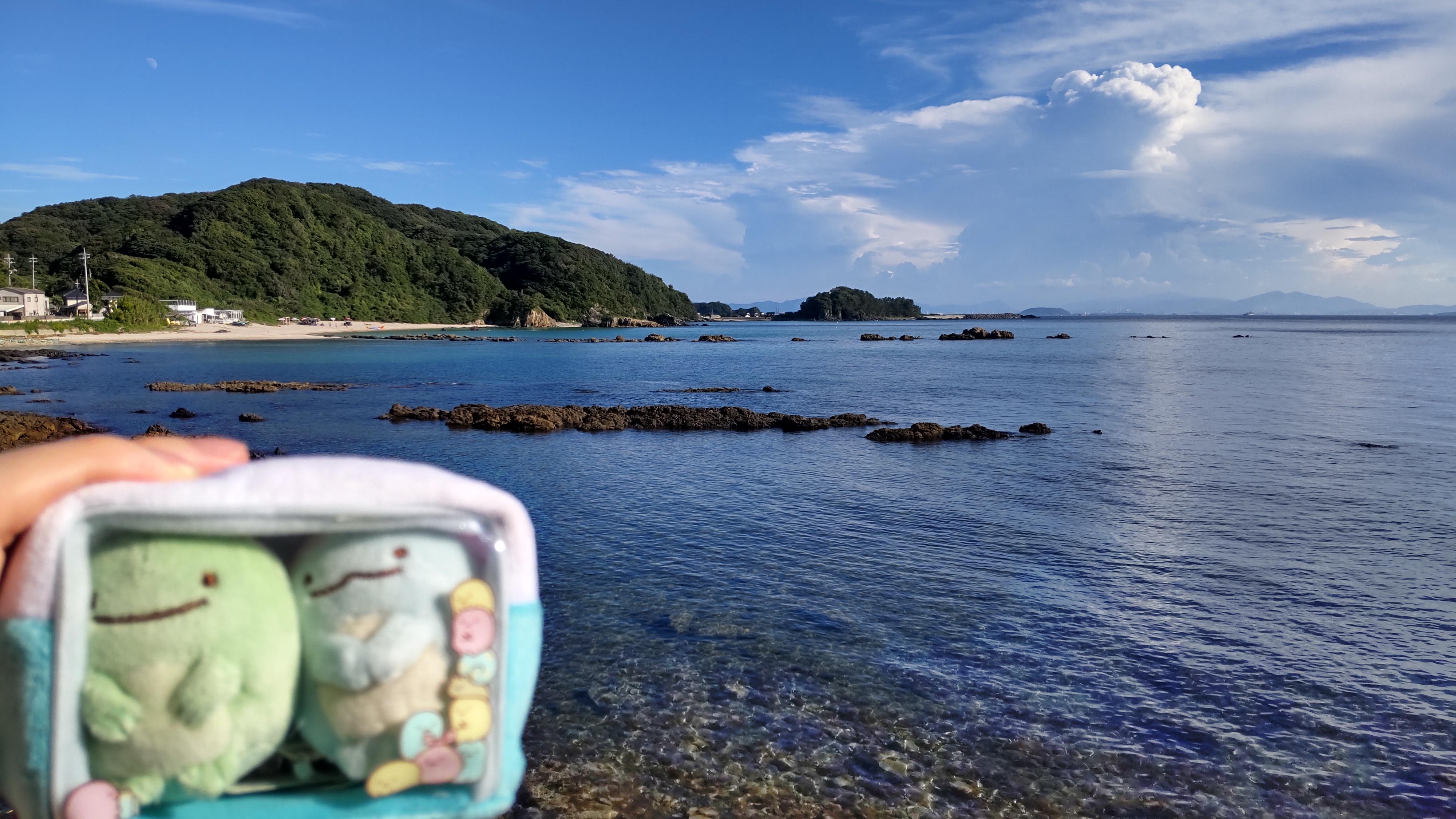 毘沙ノ鼻への海沿いの道